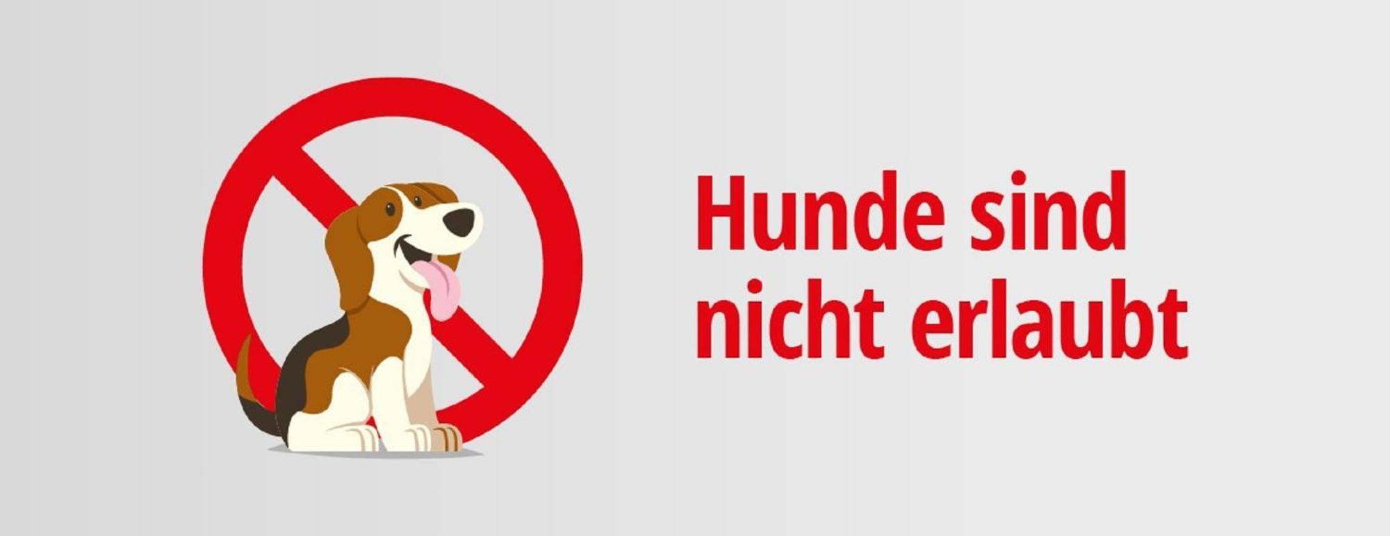 Pension Seecafe Zarrentin am Schaalsee Szoba fotó